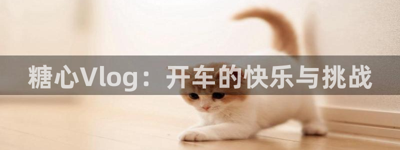 糖心vlog元气兔视频：糖心Vlog：开车的快乐与挑战
