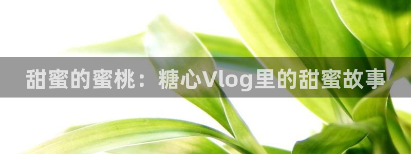 糖心vlog回家