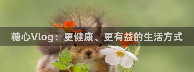 糖心vlog剧情：糖心Vlog：更健康、更有益的生活方式