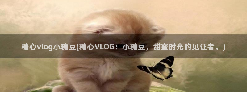 糖心vlog lingxi：糖心vlog小糖豆(糖心VLOG：小糖豆，甜蜜时光的见证者。)