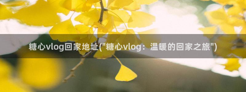 沪上名媛糖心vlog：糖心vlog回家地址(\
