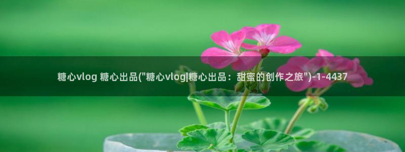 糖心小桃酱vlog：糖心vlog 糖心出品(\