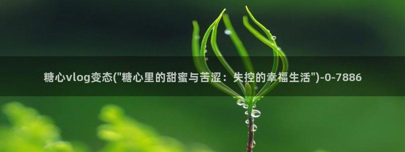 糖心vlog小包：糖心vlog变态(\