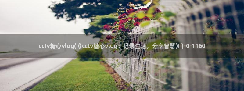 台湾精品糖心vlog：cctv糖心vlog(《cctv糖心vlog：记录生活，分享智慧》)