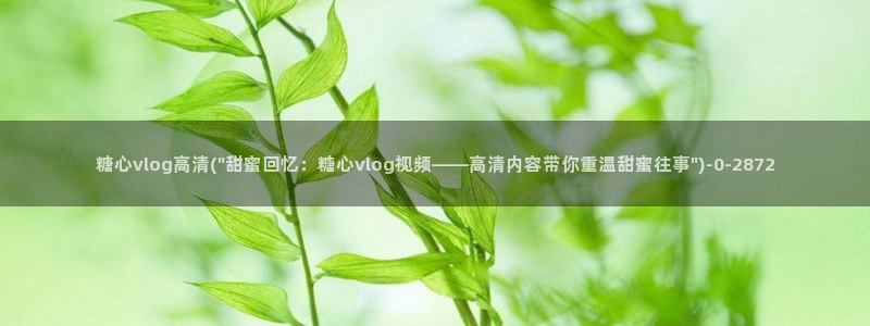 糖心vlog多乙：糖心vlog高清(\