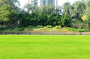 暖色调生活影像介绍