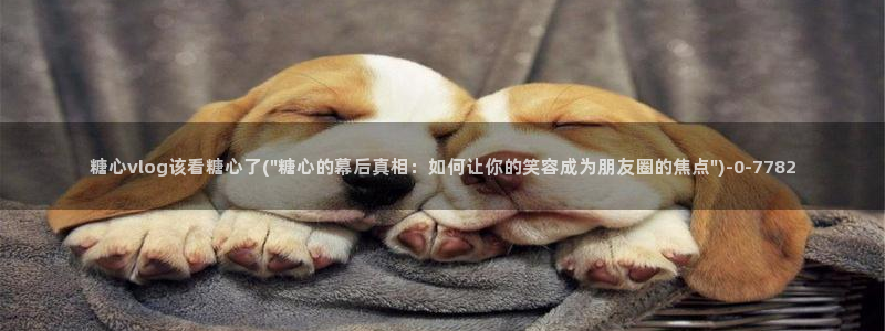 心糖vlog谁最好看