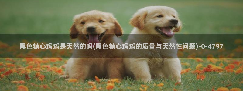 柚子猫糖心vlog胡桃