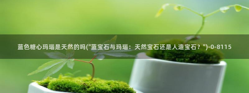 糖心vlog是谁