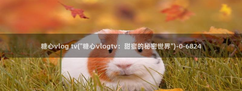麻豆糖心vlog
