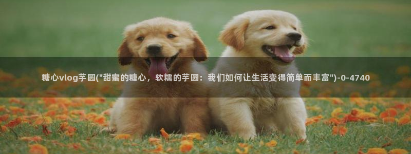 糖心vlog在线观看免费高清完整版