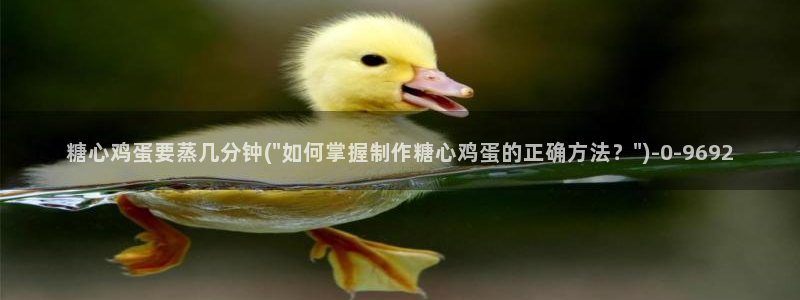 糖心vlog色版官网首页