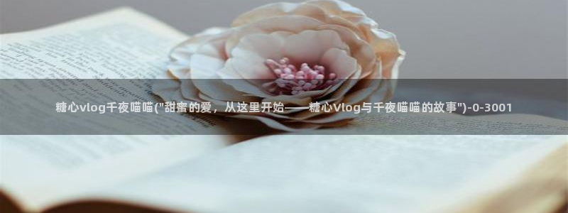 糖心vlog精产国品