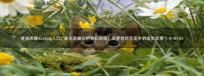 糖心vlog免费版本